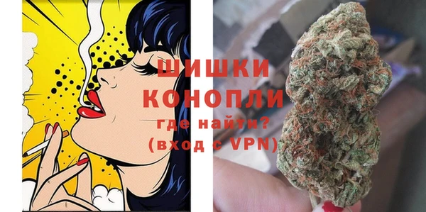 хмурый Аркадак