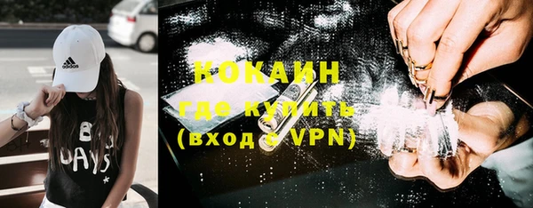 хмурый Аркадак