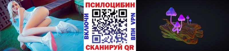 Галлюциногенные грибы Psilocybine cubensis  гидра tor  Пучеж 