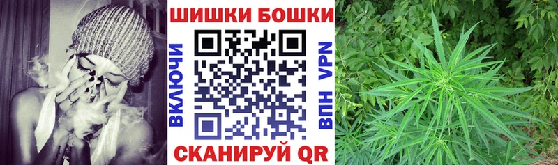 Бошки Шишки Amnesia Пучеж